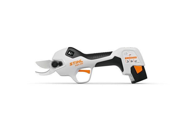 CESOIA STIHL PER RAMI ASA 20 SET