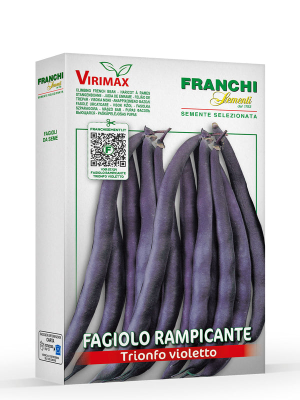 FAG RAM TRIONFO VIOLETTO VXL
