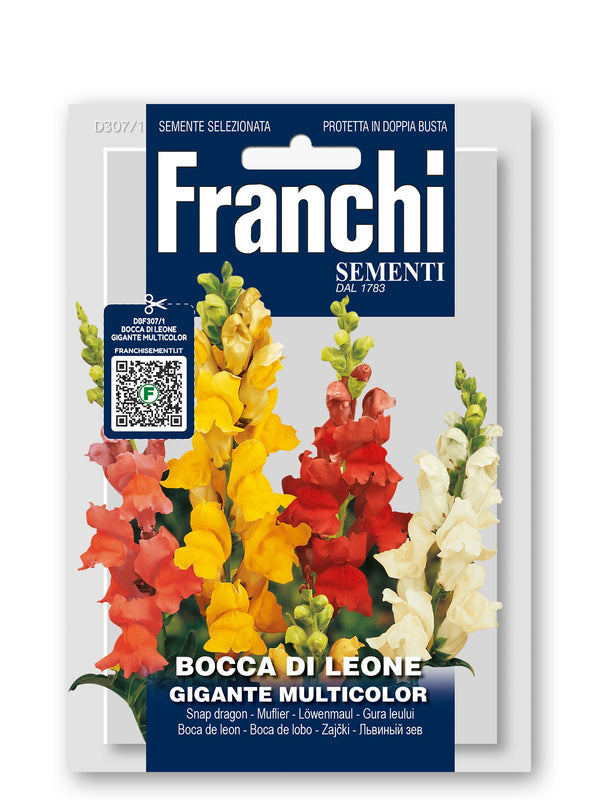 BOCCA LEONE GIGANTE DBF