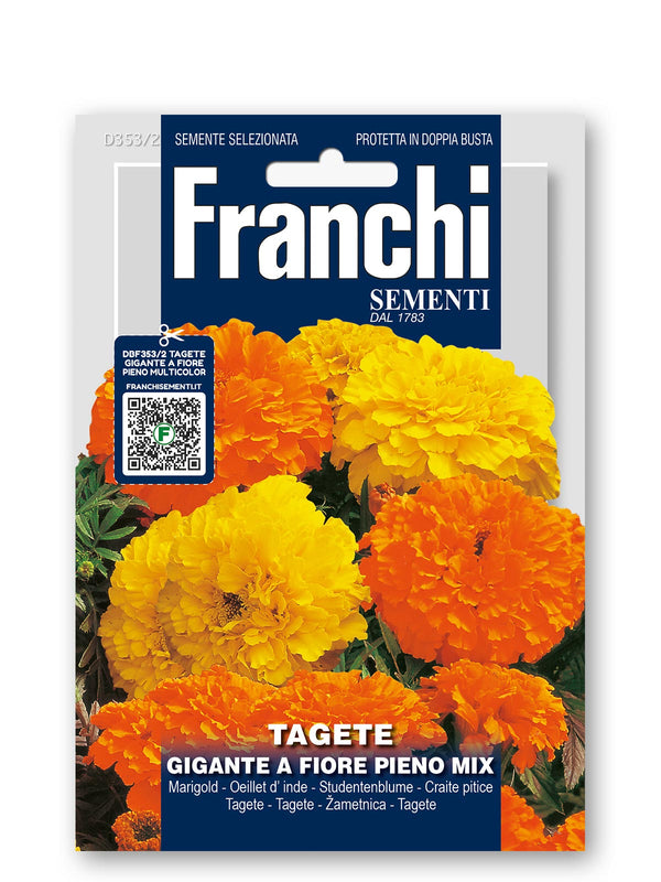 TAGETE GIGANTE F PIENO DBF