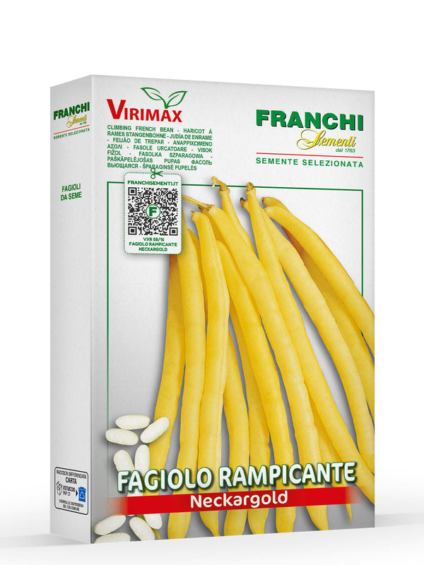 FAG RAMP NECKARGOLD VXL