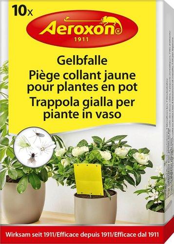 TRAPPOLA INSETTI PER PIANTE - 10PZ - Brico SA