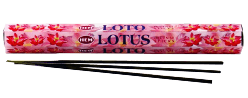 INCENSO LOTUS 20PZ - Brico SA