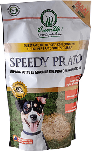 SEMENZA SPEEDYPRAT 1.5KG-RIPARATORE - Brico SA