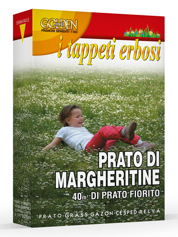 PRATO MARGUERITES KG.1