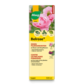 BELROSE FUNG.250ML - Brico SA