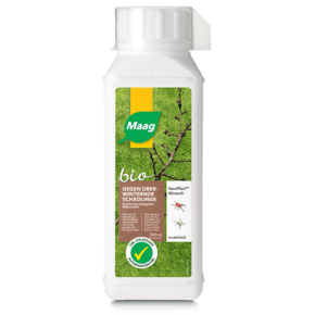 SANOPLANT OLIO INV - Brico SA