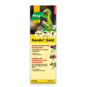 KENDO GOLD 500ML - Brico SA