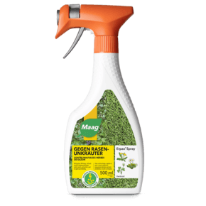 ERPAX SPRAY 500ML - Brico SA