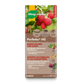 PERFETTO 40ML - Brico SA