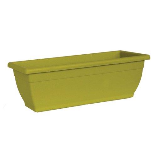 CASSETTA ANICE 50X20CM - Brico SA