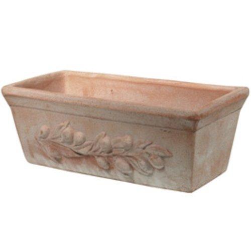 CASSETTA TERRACOTTA OLIVA - Brico SA