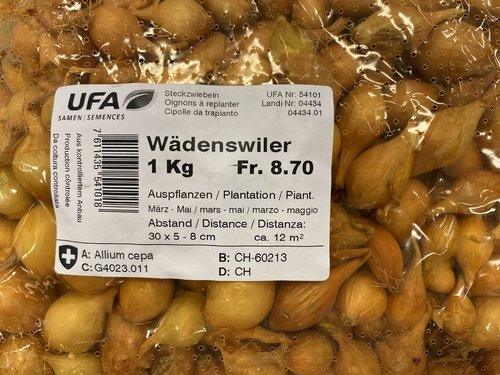 CIPOLLE DA SEMINA WAEDENSWILER 1KG - Brico SA