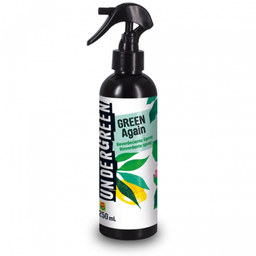 UNDERGREEN REPAIR 250ML-RINVERDENTE - Brico SA