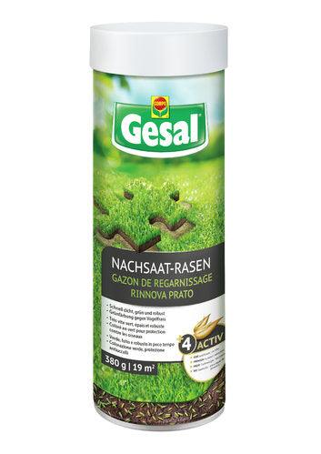 SEMENZA GESAL 380GR-RISEMINA - Brico SA