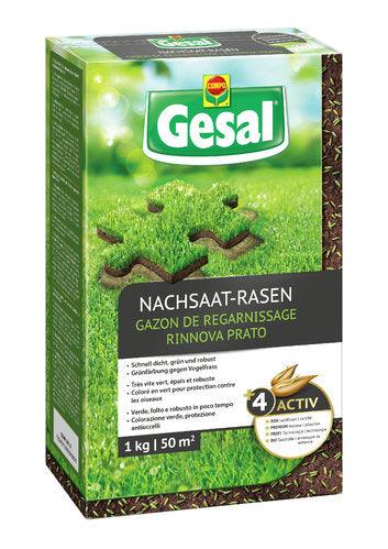 SEMENZA GESAL 1KG-RISEMINA - Brico SA