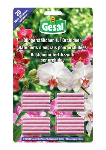 GESAL BASTONCINI 20PZ-ORCHIDEE - Brico SA