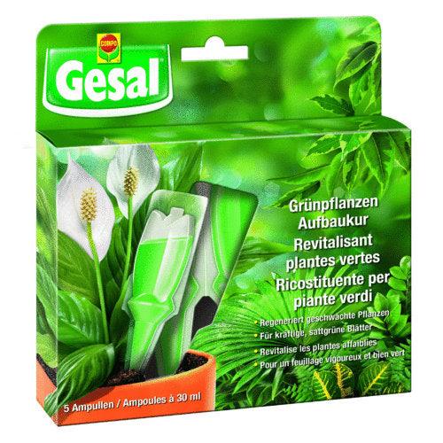 GESAL CONCIME 30ML 5X-RICOSTITUENTE - Brico SA