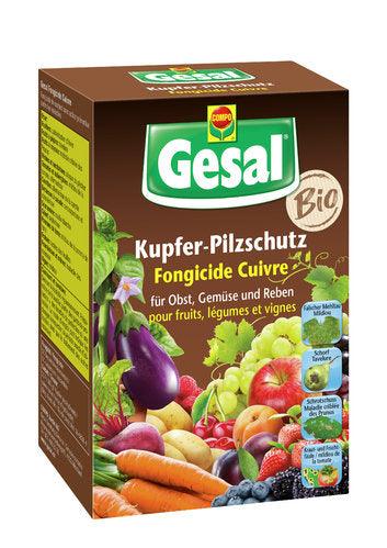 GESAL FUNGHICIDA 70ML-RAMATO - Brico SA