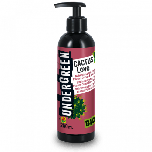 UNDERGREEN LOVE 250ML-CACTUS - Brico SA