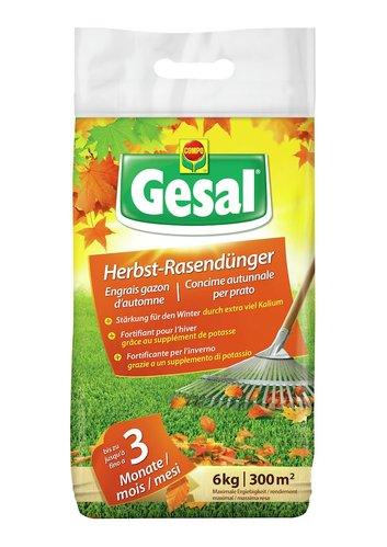 GESAL CONCIME 6KG PRATO AUTUNNO - Brico SA