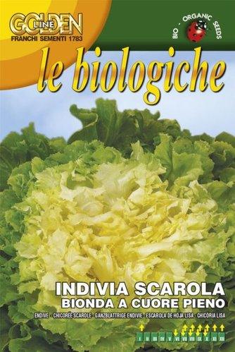 INDIVIA SCAROLA BIONDA CUORE PIENO - Brico SA