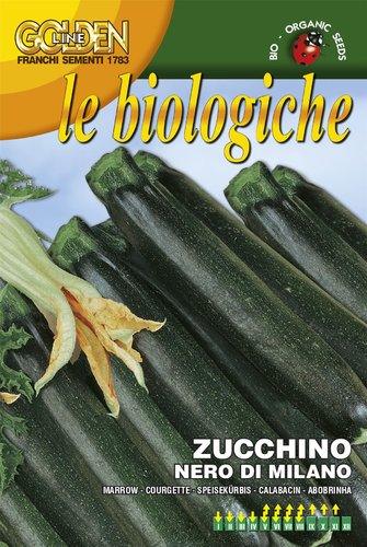 ZUCCHINO NERO BIO - Brico SA