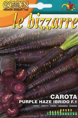 CAROTA BIZZARRE PURP. HA F1 - Brico SA