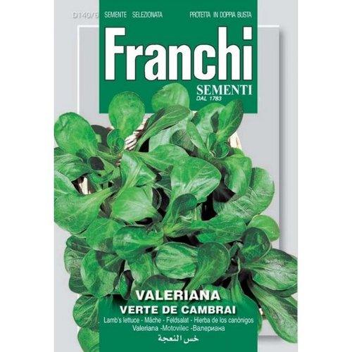 VALERIANA VERTE DE CAMBRAI - Brico SA