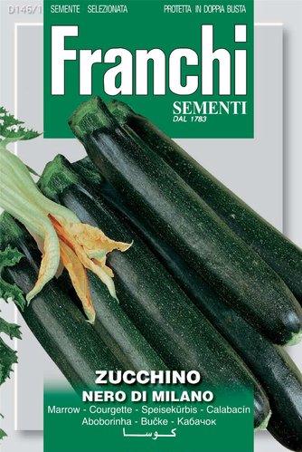 ZUCCHINO NERO DI MILANO - Brico SA