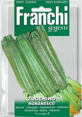 ZUCCHINO ROMANESCO - Brico SA