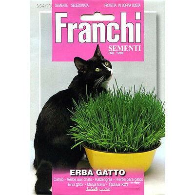 ERBA GATTO - Brico SA