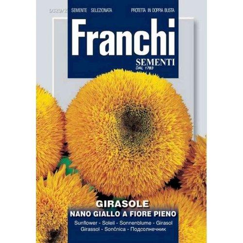 GIRASOLE NANO GIALLO A FIOR - Brico SA