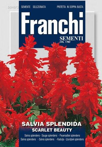 SALVIA SPLENDENS ALTA SCARLET BEAUT - Brico SA