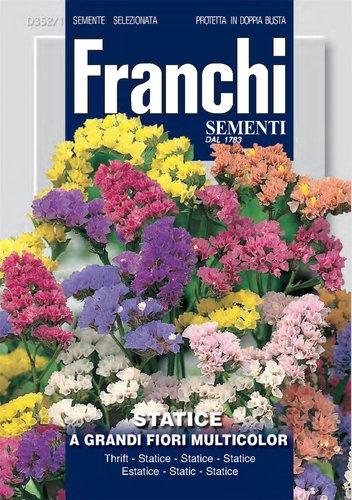 STATICE GRANDI FIORI - Brico SA