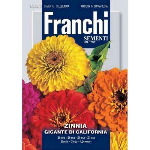 ZINNIA GIGANTE DELLA CALI - Brico SA