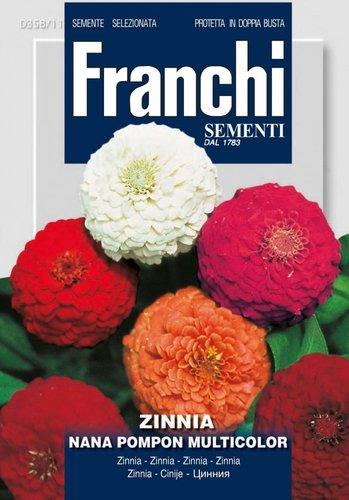 ZINNIA NANA POMPON MULTIC - Brico SA