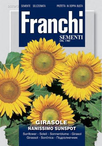 GIRASOLE NANISSIMO SUNSPOT - Brico SA