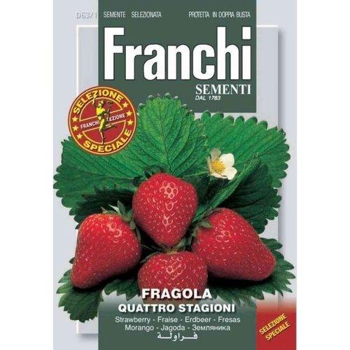 FRAGOLA A GROSSI FRUTTI - Brico SA