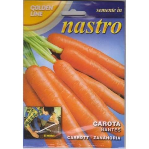 CAROTA NASTRO NANTESE DI CHIOGGI - Brico SA