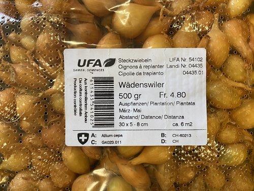 CIPOLLE DA SEMINA WAEDENSWILER 500GR - Brico SA